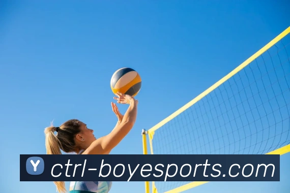 球赛投注服务体系